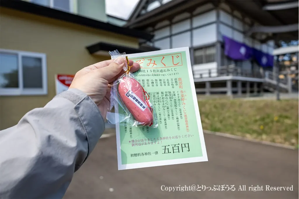 鹿部神社えぞみくじたらこ