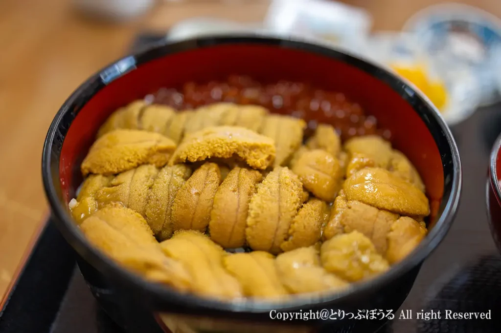ノシャップ岬樺太食堂うに丼