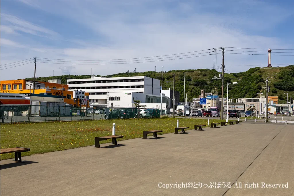 北防波堤ドーム公園