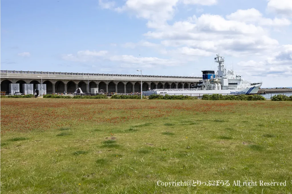 北防波堤ドーム公園と巡視船