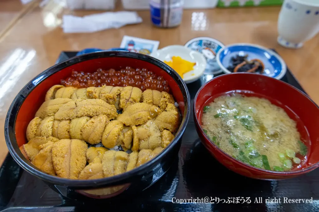 ノシャップ岬樺太食堂うに丼とみそ汁