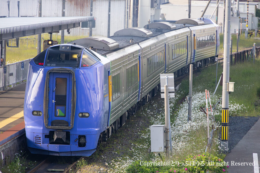 稚内駅を出発するキハ261系サロベツ
