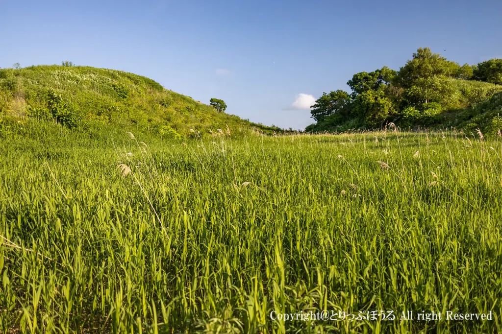 宗谷ふれあい公園Aロッジベランダからの風景
