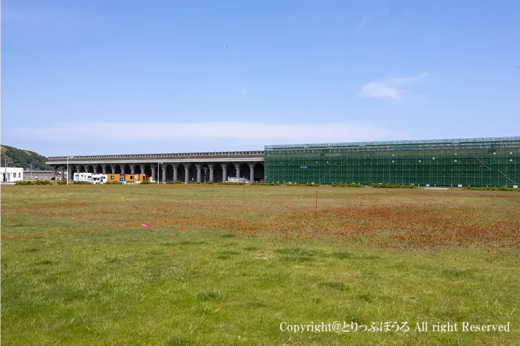 北防波堤ドームイベント広場と工事中のドーム