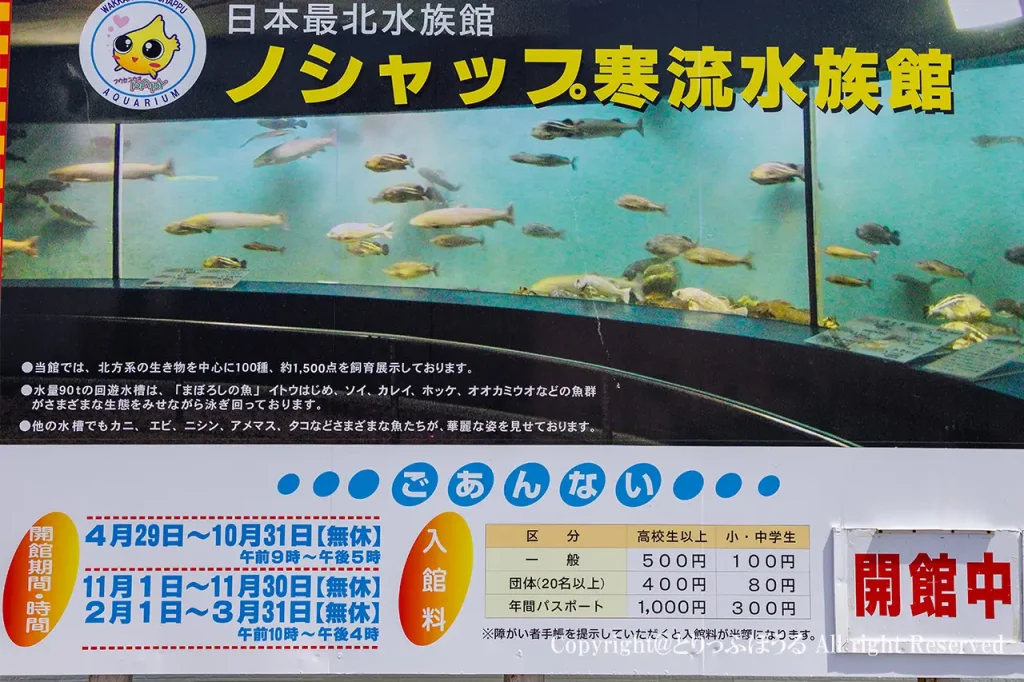 稚内市立ノシャップ寒流水族館営業時間