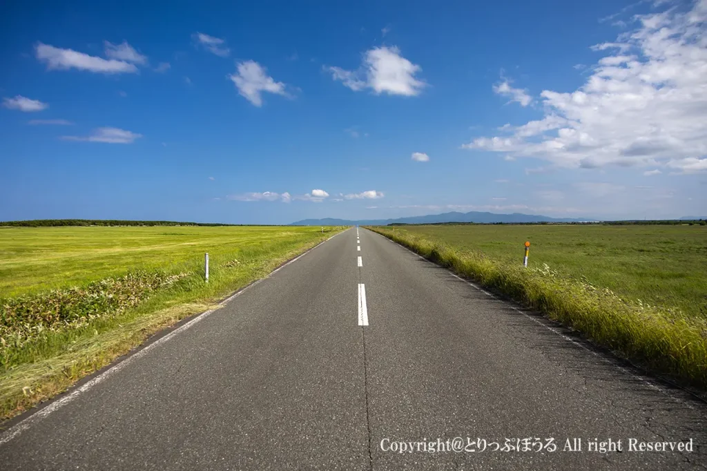 地平線へまっすぐ伸びる北海道猿払村のエサヌカ線直線ロード