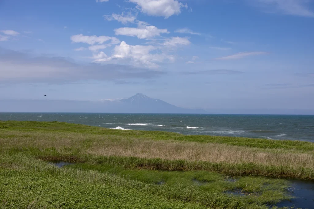 こうほねの家から見た海と利尻富士