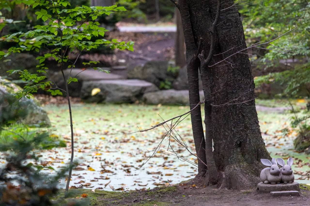 帯広神社の池にあるウサギの置物