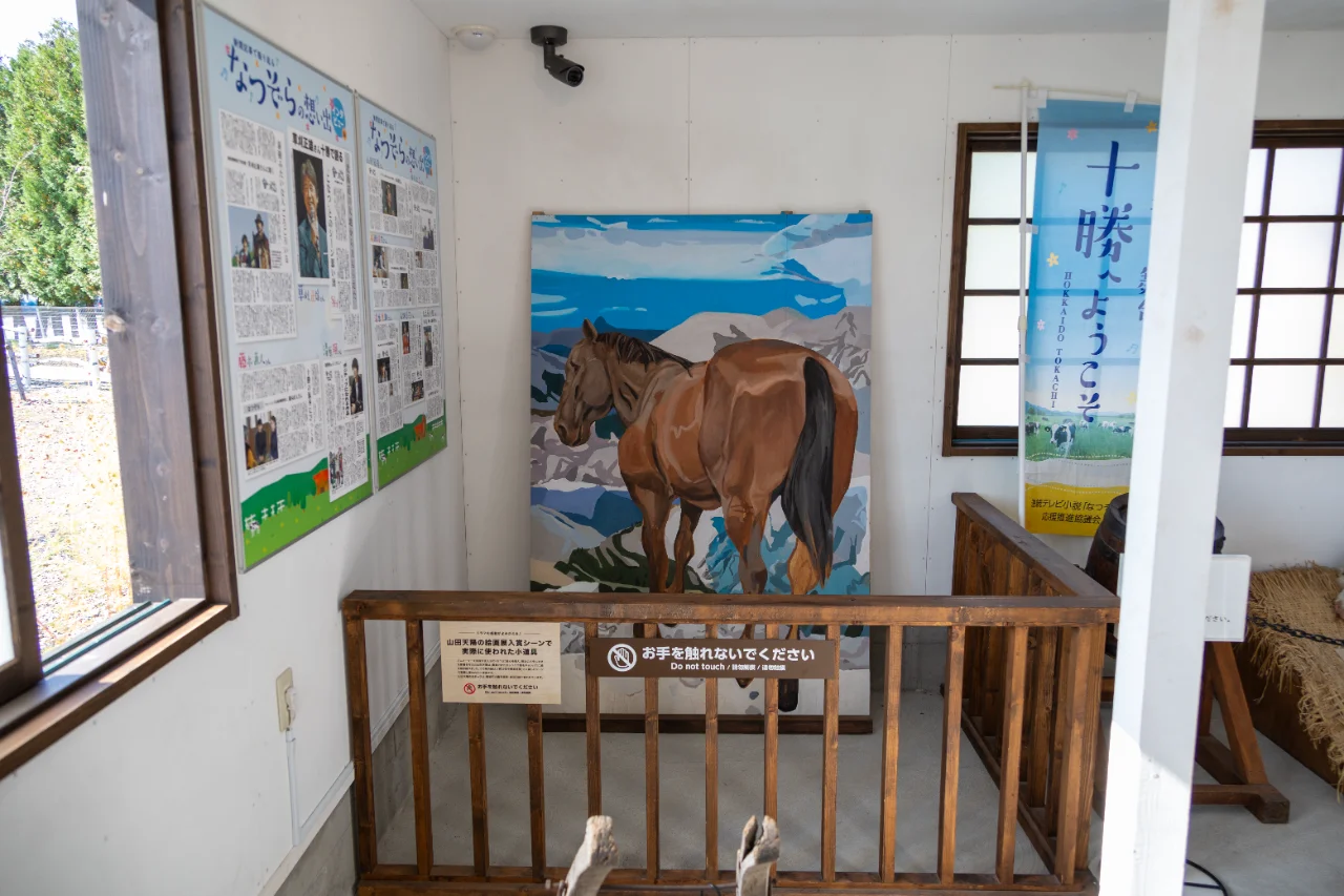 なつぞらエリアに展示されているドラマで使われた馬の小道具