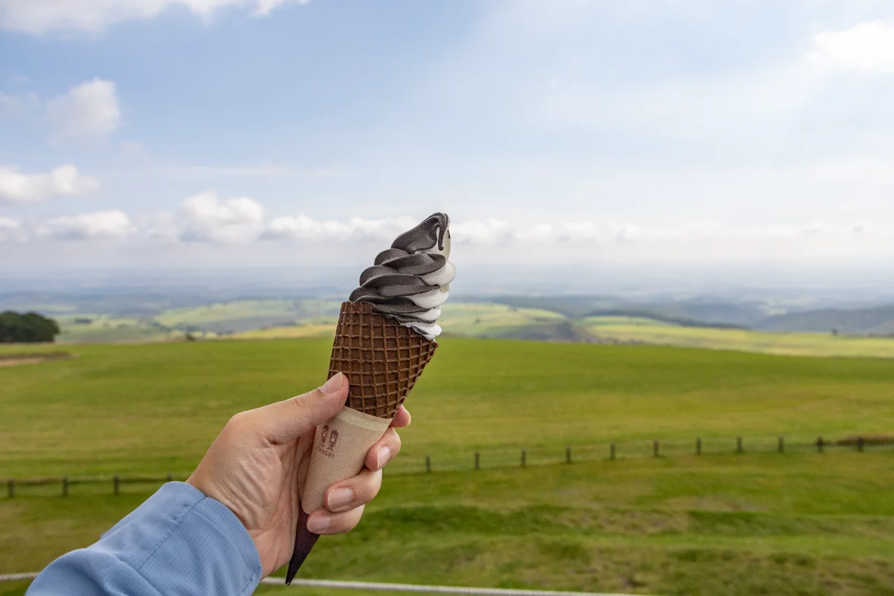 ミルクとチョコレートのミックスで牛の模様に見えるソフトクリームのウシ