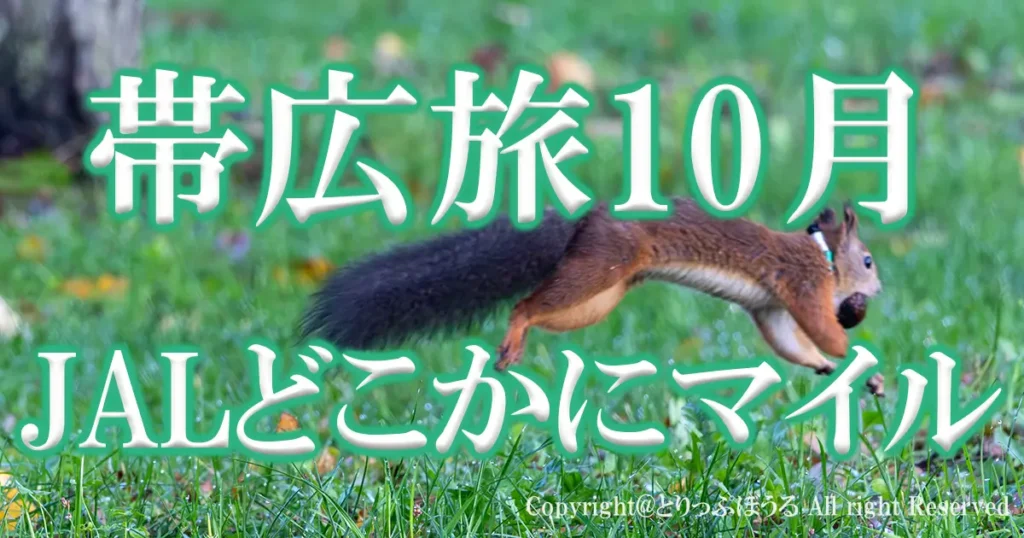 JALどこかにマイル帯広旅2025年10月
