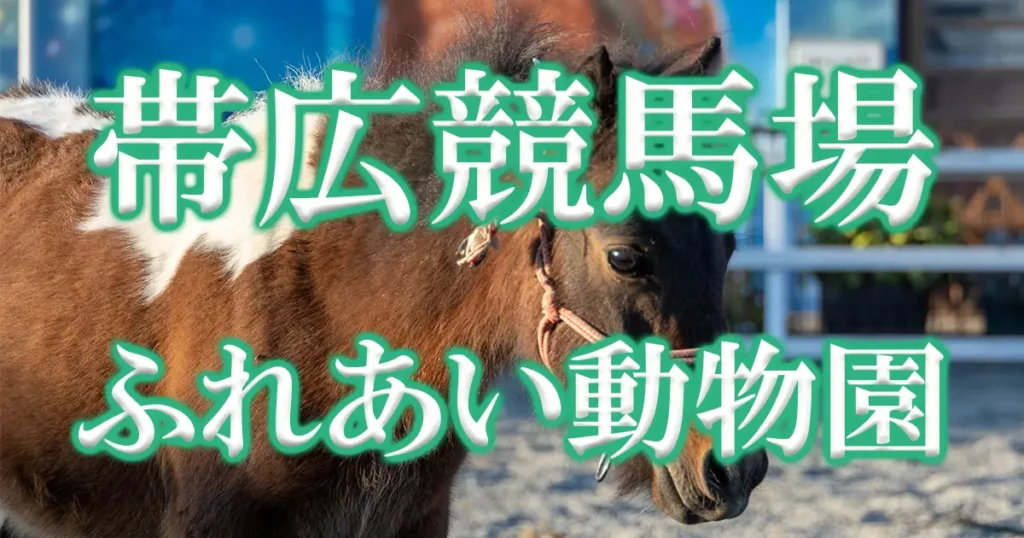 帯広競馬場ふれあい動物園アイキャッチ画像