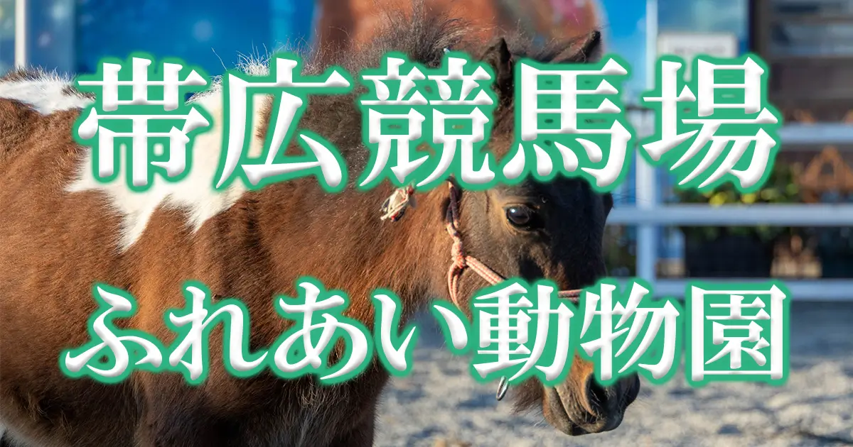 帯広競馬場ふれあい動物園アイキャッチ画像